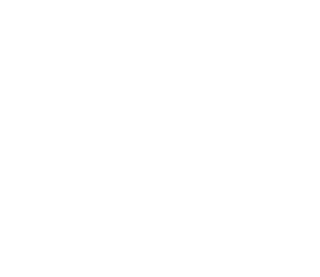 Logo Primary Icon True White
