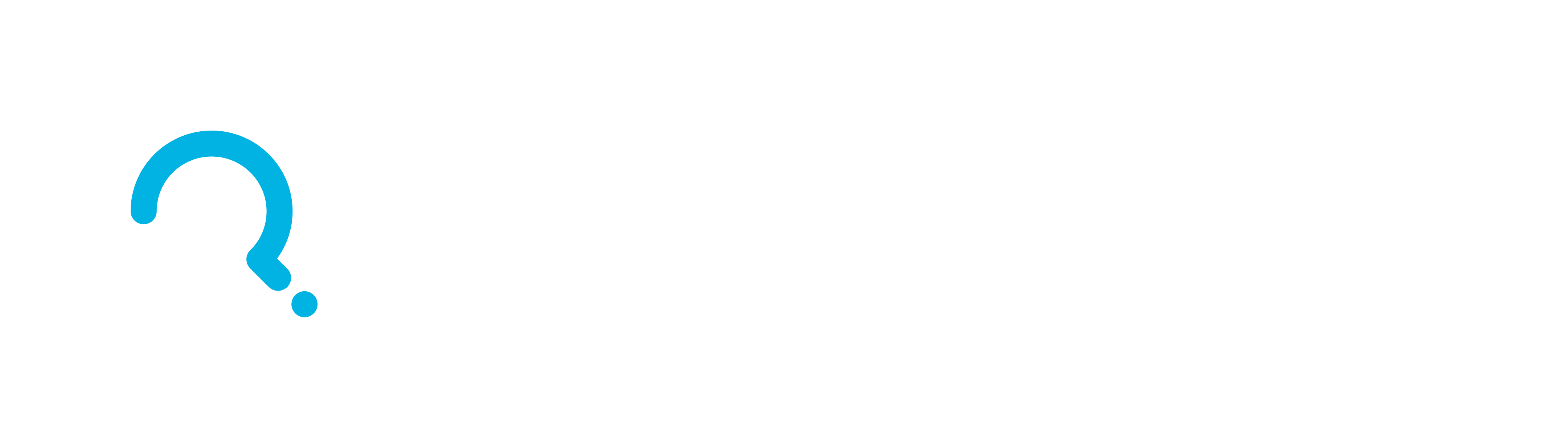 Quisitive Brand home