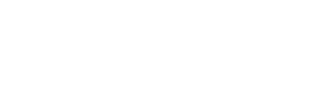 Logo Primary Wordmark True White